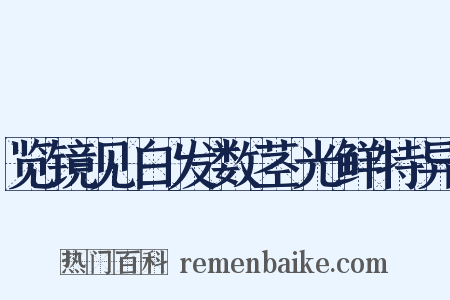 览镜见白发数茎光鲜特异是什么意思的图片